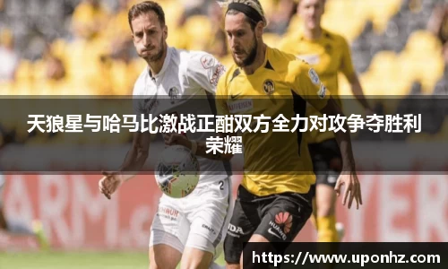 天狼星与哈马比激战正酣双方全力对攻争夺胜利荣耀